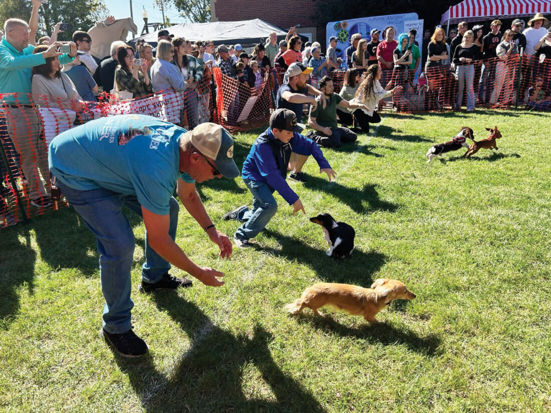 Dachshunds race at Armory Square News, Sports, Jobs Marietta Times